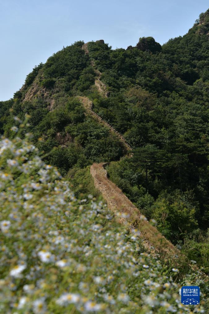 利发国际娱平台